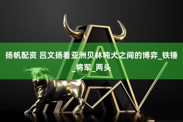 扬帆配资 吕文扬看亚洲贝林吨犬之间的博弈_铁锤_将军_两头