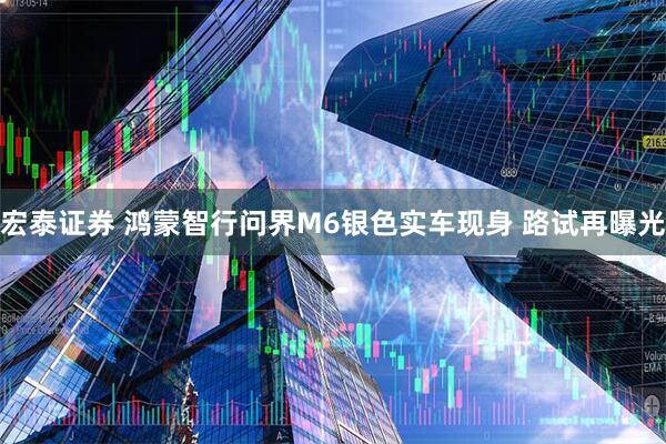 宏泰证券 鸿蒙智行问界M6银色实车现身 路试再曝光